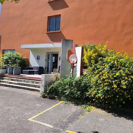 Adonis Lyon Est Artys 3*