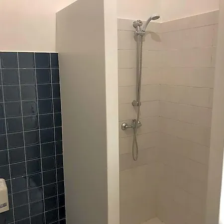 Adonis Lyon Est Artys Saint-Priest-en-Jarez